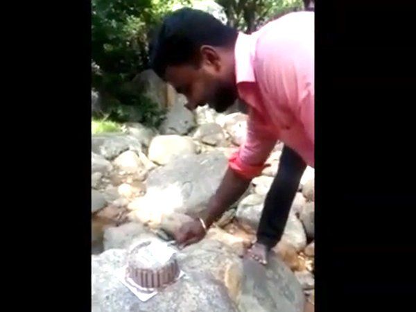जंगल में 'बर्थडे केक' काटना पड़ा महंगा, केक काटते ही हुआ ये- Viral Video