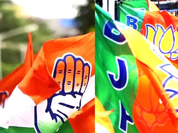 punjab local body election result