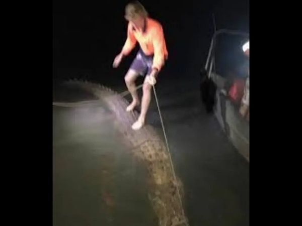 शॉकिंग वीडियो,ट्रेंडिंग वीडियो,वायरल वीडियो,मगरमच्छ की तस्वीर वायरल,Shocking Video, Trending Video, Viral Video, Crocodile Picture Viral,Australia, Crocodile, Man rides crocodile 