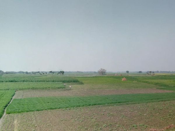 Now hope from farmers, Agriculture sector will bring India's economy back on track