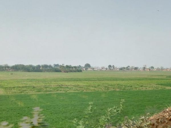 Modi Government can increase MSP to remove farmers' fears 