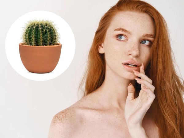 Cactus for Skin