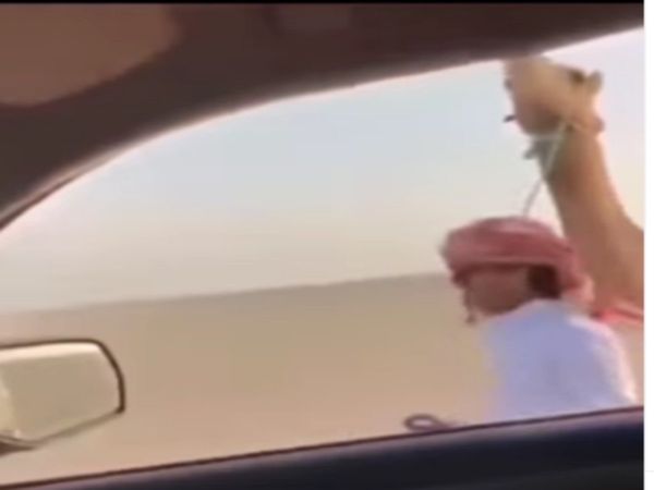 Funny Video Man Play With Camel Then What Happened Watch Viral Video
