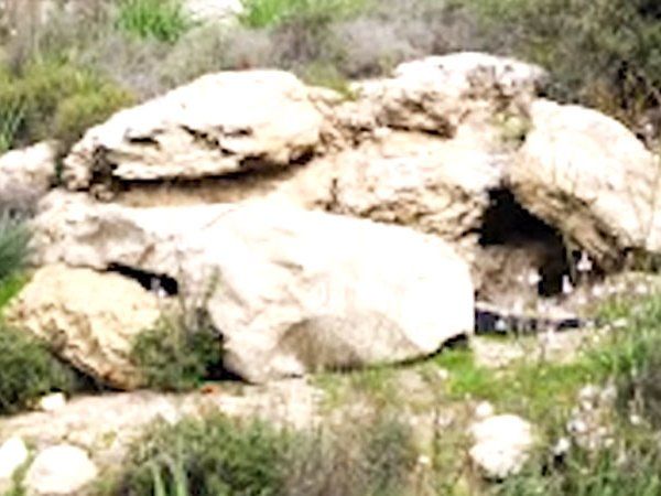 Camouflage Net,Polaris Solutions,Israel