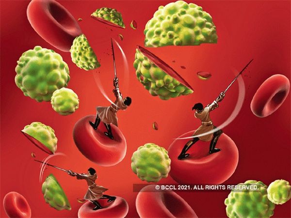 Diet for cancer Prevention