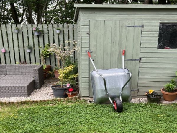 Can You Spot Cat in hidden optical Illusion Viral Photo