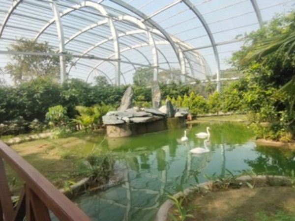 Chandigarh Bird Park 