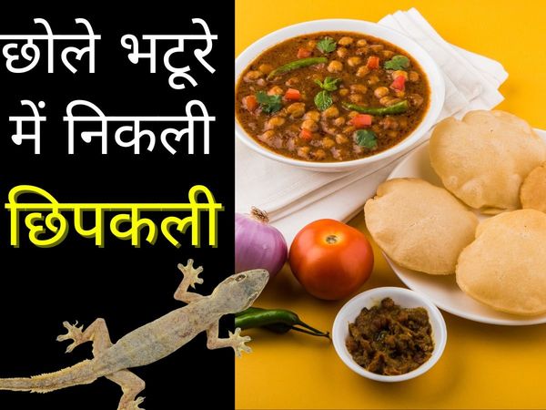 Chandigarh Crime News