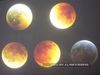 Chandra Grahan Lunar Eclipse November 2021 Date and Time in India