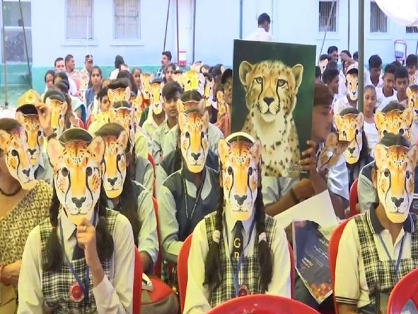 Tiger State is ready to receive Namibian cheetahs Madhya Pradesh is becoming an example of conservation of wildlife