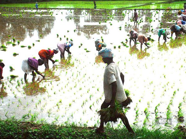 Chhattisgarh Farmers 