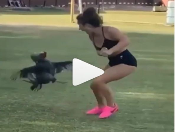 Murgi Viral Video Chicken Funny Viral Video Chicken Attack on Woman Viral Video