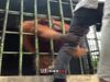 Chimpanzee Attack on Man Then What Happened Watch Funny Viral Video