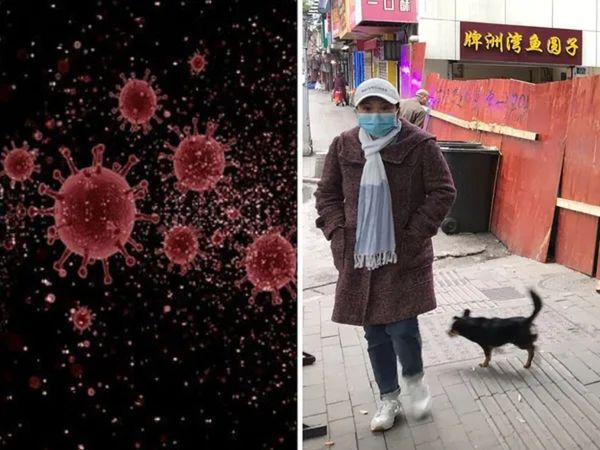 Shenzhen becomes first Chinese city to ban consumption of dog and cat meat