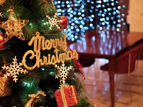   Merry Christmas, Merry Christmas 2021, happy Merry Christmas, happy Merry Christmas, happy Merry Christmas wishes in hindi, happy Merry Christmas wishes, happy Merry Christmas wishes messages in hindi, happy Merry Christmas hindi wishes