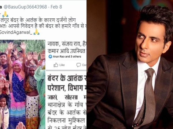 Complain to Sonu Sood about Monkey