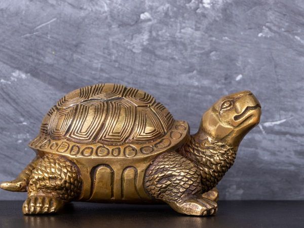 Copper Turtle benefits in House