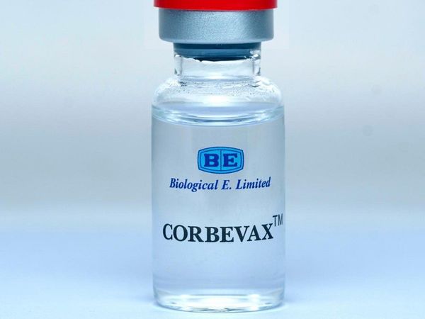 corbevax