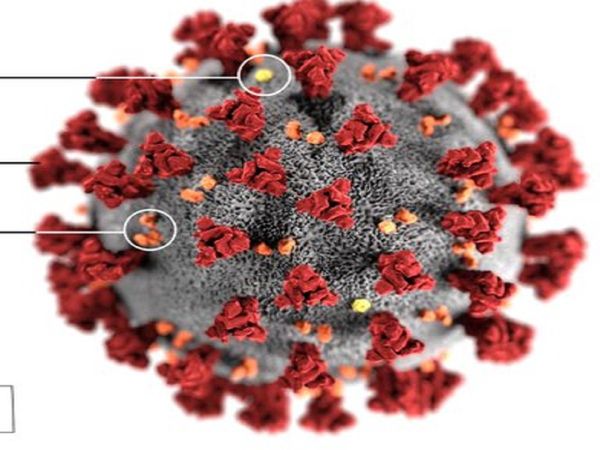 India successfully cultures the new viral strain on the horizon UK variant of SARS-CoV 2