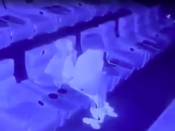 Couple have sex in 'empty' cinema hall video goes viral on social Media