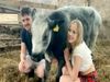 Farmer proposes to girlfriend by spraying cows with ‘will you marry me’ message