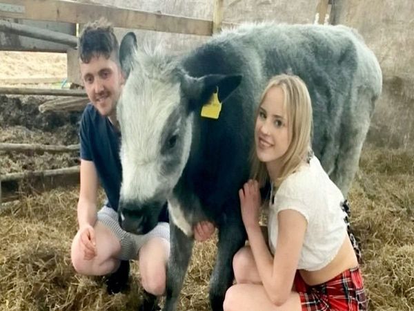 Farmer proposes to girlfriend by spraying cows with ‘will you marry me’ message