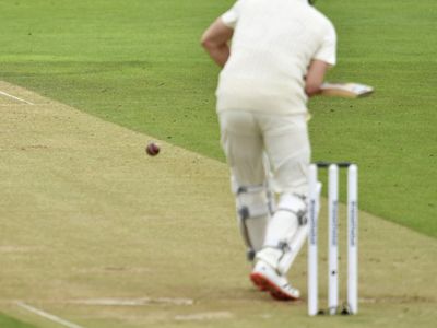 Cricket Throwback Cricket Throwback