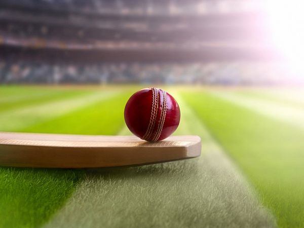 Cricket Bat and Ball