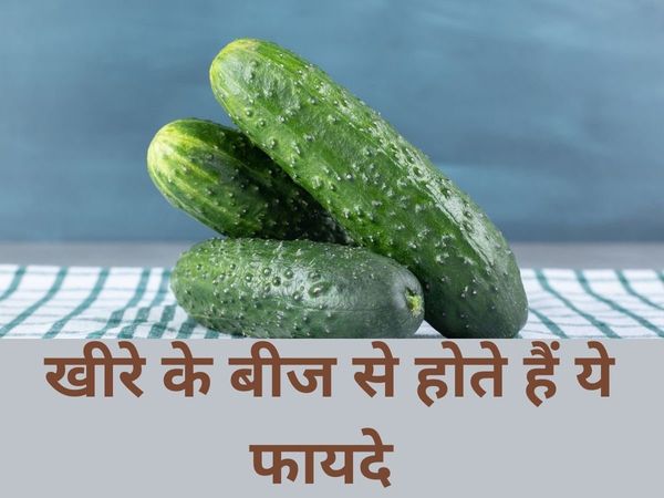 Cucumber Seeds Benefits
