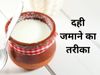 Curd Make