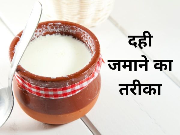 Curd Make