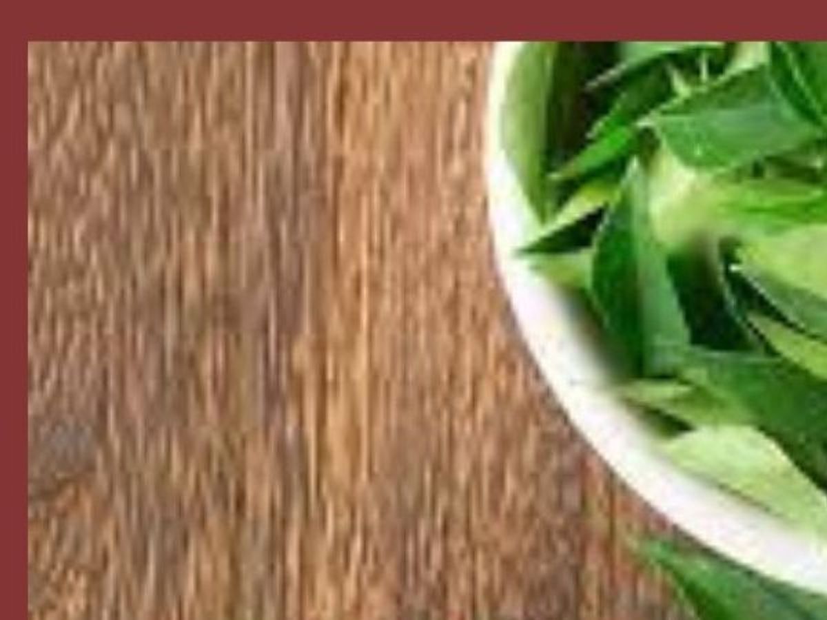 Curry Leaves: Curry Leaves Benefits for Hair fall and white hair- झड़ते व  सफेद बालों से परेशान हैं तो लगाए करी पत्ता, ऐसे करें इस्तेमाल