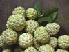 Custard Apple