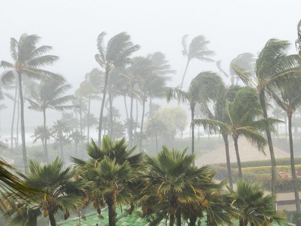 How cyclone 'Jawad' got its name, where and when it is going to come