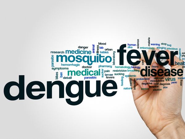 These foods help to prevent dengue fever
