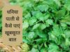 Coriander Leaves Hair Mask for shiny n hair growth, Coriander Leaves Hair Mask, Homemade Coriander Leaves Hair Mask, Coriander Leaves Hair Mask for shiny hair, Coriander Leaves Hair Mask for hair growth, 