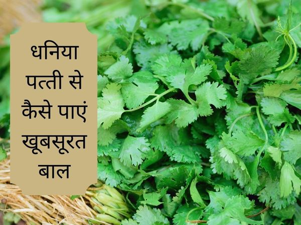 Coriander Leaves Hair Mask for shiny n hair growth, Coriander Leaves Hair Mask, Homemade Coriander Leaves Hair Mask, Coriander Leaves Hair Mask for shiny hair, Coriander Leaves Hair Mask for hair growth, 