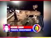 Man throws dog into lake in Bhopal Incidenr Caught on camera