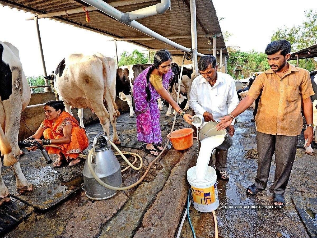 Jobs in Dairy Industry, Rs 15,000 crore approved for dairy, poultry