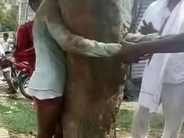 Dalit man beaten up, stick inserted in private part by woman's relatives over alleged affair in Kanpur UP