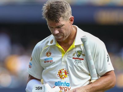 David Warner David Warner