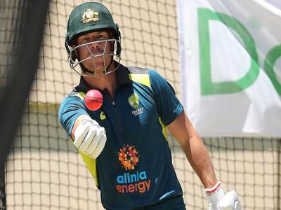 David Warner David Warner