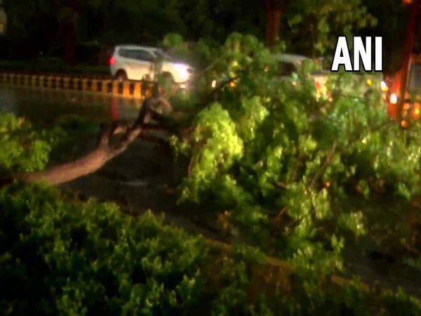 Strong winds and rain lash parts of Delhi and NCR as it gets a breather from the intense heat