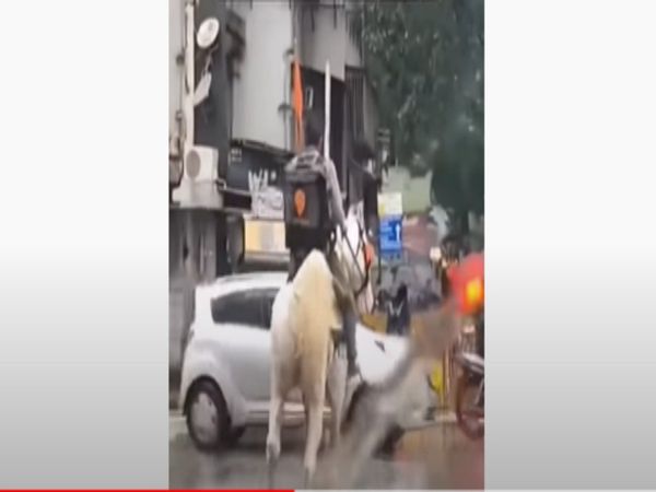 Delivery Boy Deliver Food on Horse Video Goes Viral 