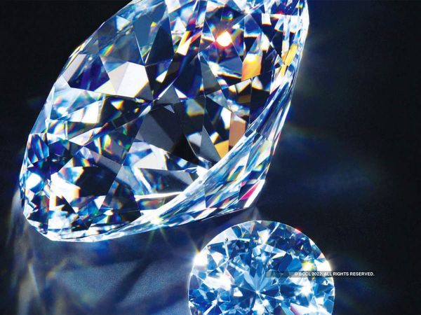 A woman stumbled upon precious diamond when she went to collect firewood in a forest area in Madhya Pradeshs Panna