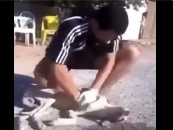 Man Saves Dog Life By CPR Heart Winning Video Goes Viral