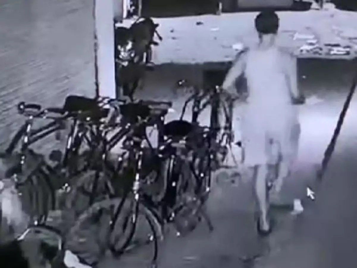 Mumbai: आधी रात में कुत्ते को बनाया अपनी हवस का शिकार, CCTV में कैद हुई तौफीक की हरकत