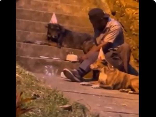 Dog Video Man Celebrate Birthday With Street Dog Video Goes Viral