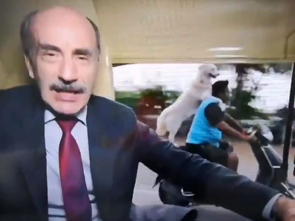 BBC show, dog suddenly came on scooter