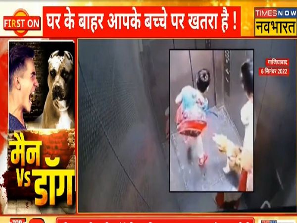 Dog vs Man There was a ruckus in many places over dog bites who made pet dogs a killer